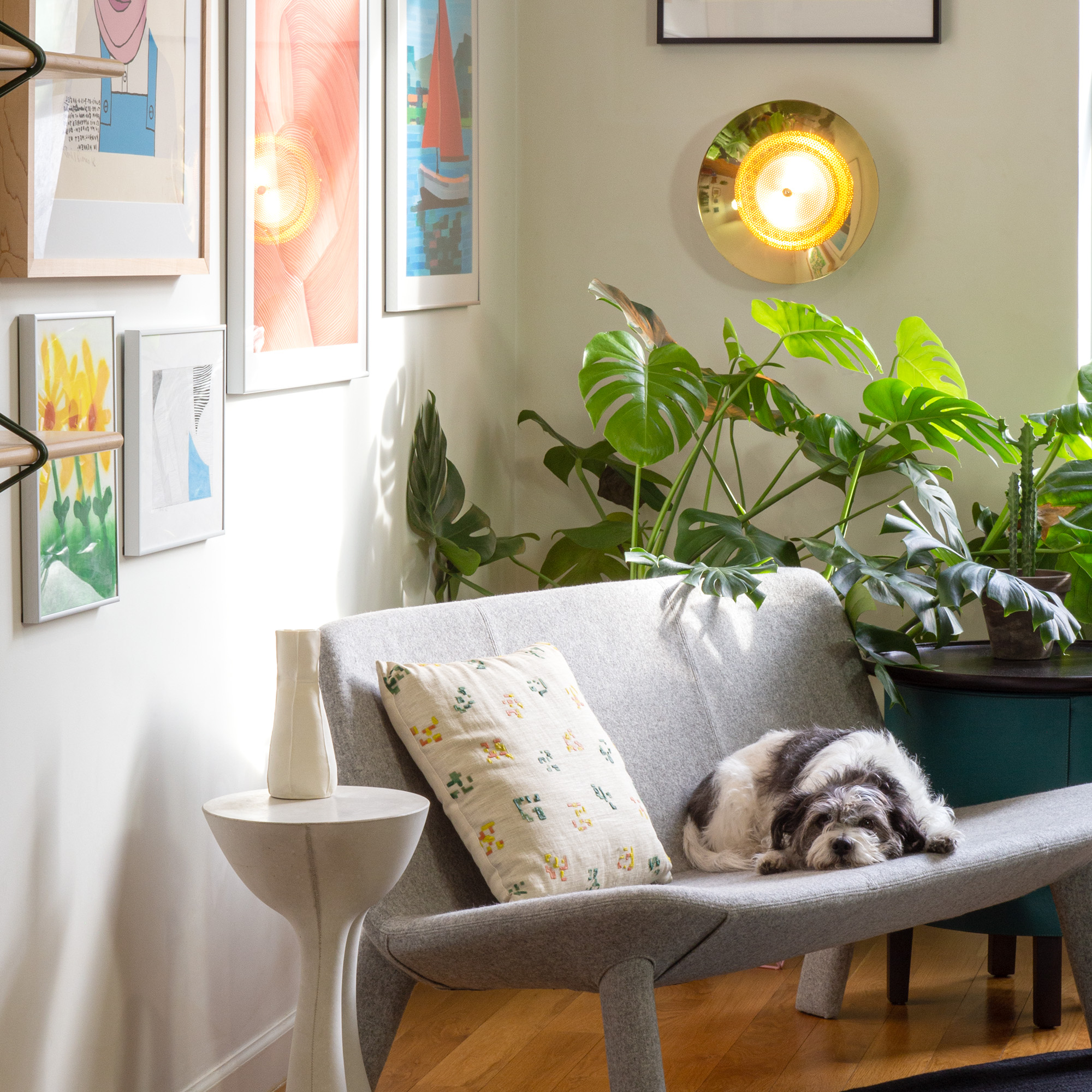 Signal Wall Sconce in Brass by Souda